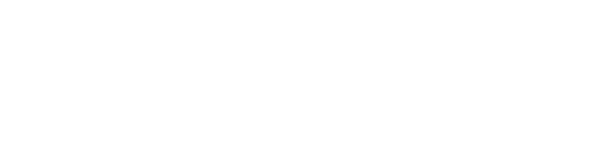 Sprinter Adventure Rallies